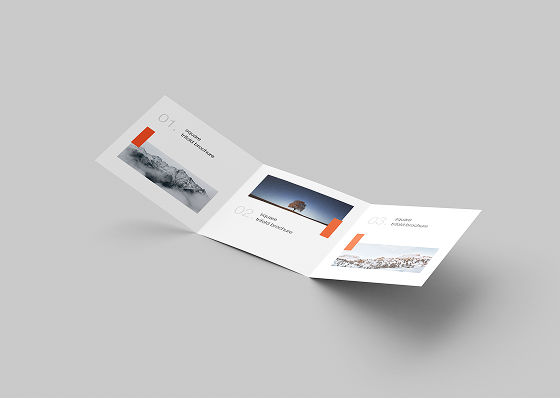 brochure